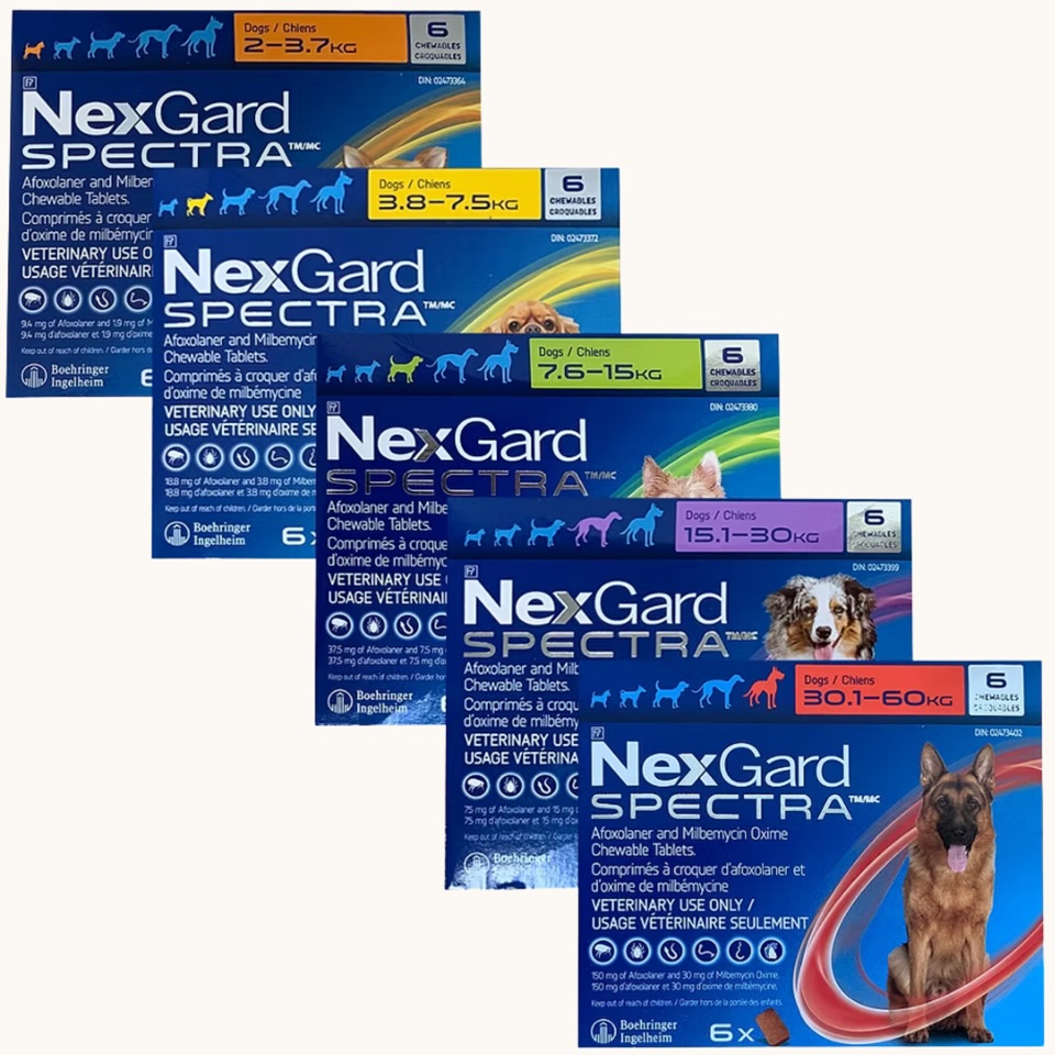 Website - NexGard Spectra box (6) - $200, $220, or $240